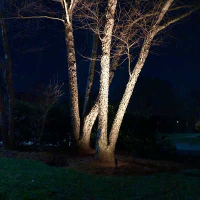 Outdoor Lighting System