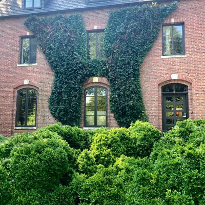 Custom Maintenance Trimming by Fowler Landscaping