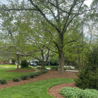 Landscape maintenance with Fowler Landscaping LLC