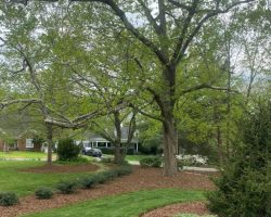 Landscape maintenance with Fowler Landscaping LLC