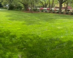 Landscape maintenance with Fowler Landscaping LLC