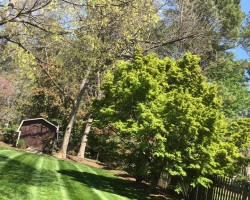 Landscape maintenance with Fowler Landscaping LLC