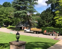 Landscape maintenance with Fowler Landscaping LLC