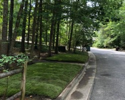 Sod and Landscape maintenance with Fowler Landscaping LLC